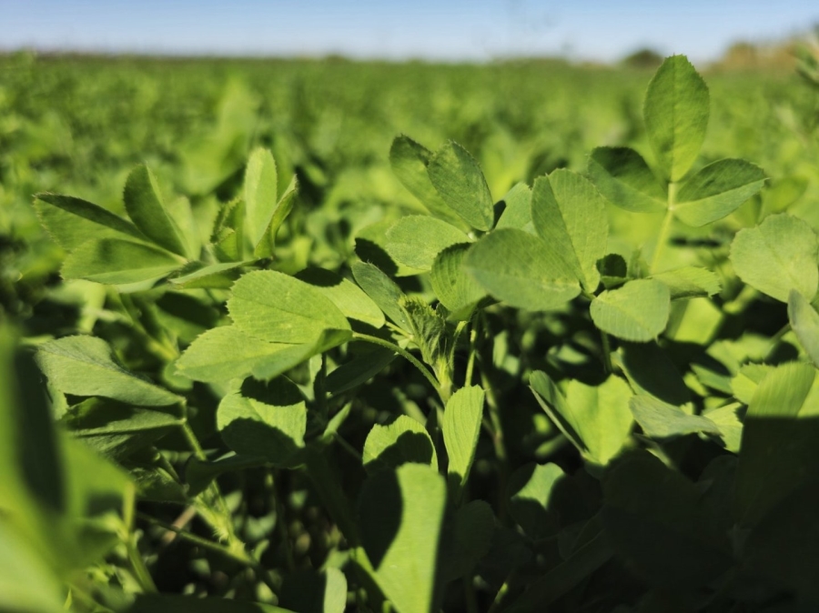 Commercial Property for Sale in Keimoes Rural Northern Cape